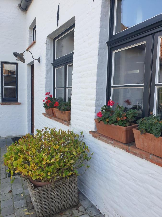 De Levensboom - Het Oud Gemeentehuis Damme Kültér fotó