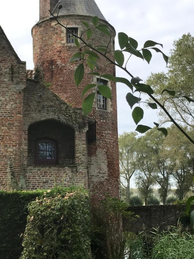 De Levensboom - Het Oud Gemeentehuis Damme Kültér fotó