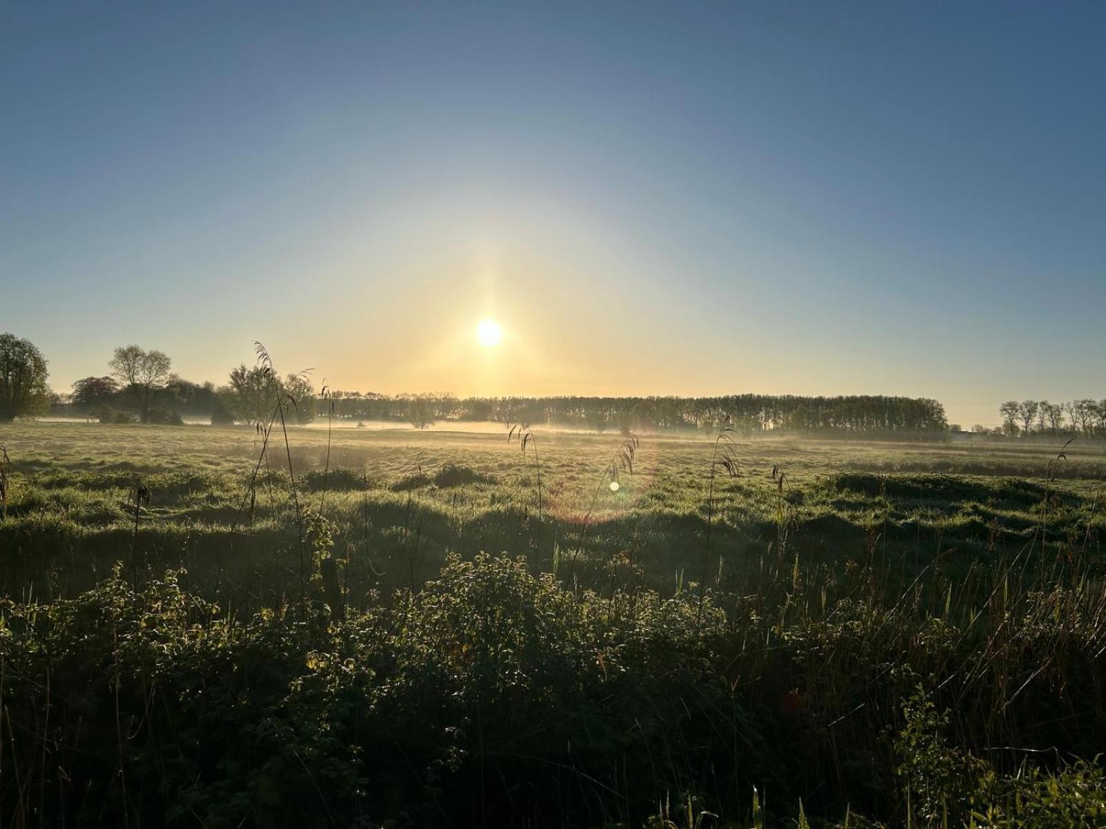 De Levensboom - Het Oud Gemeentehuis Damme Kültér fotó