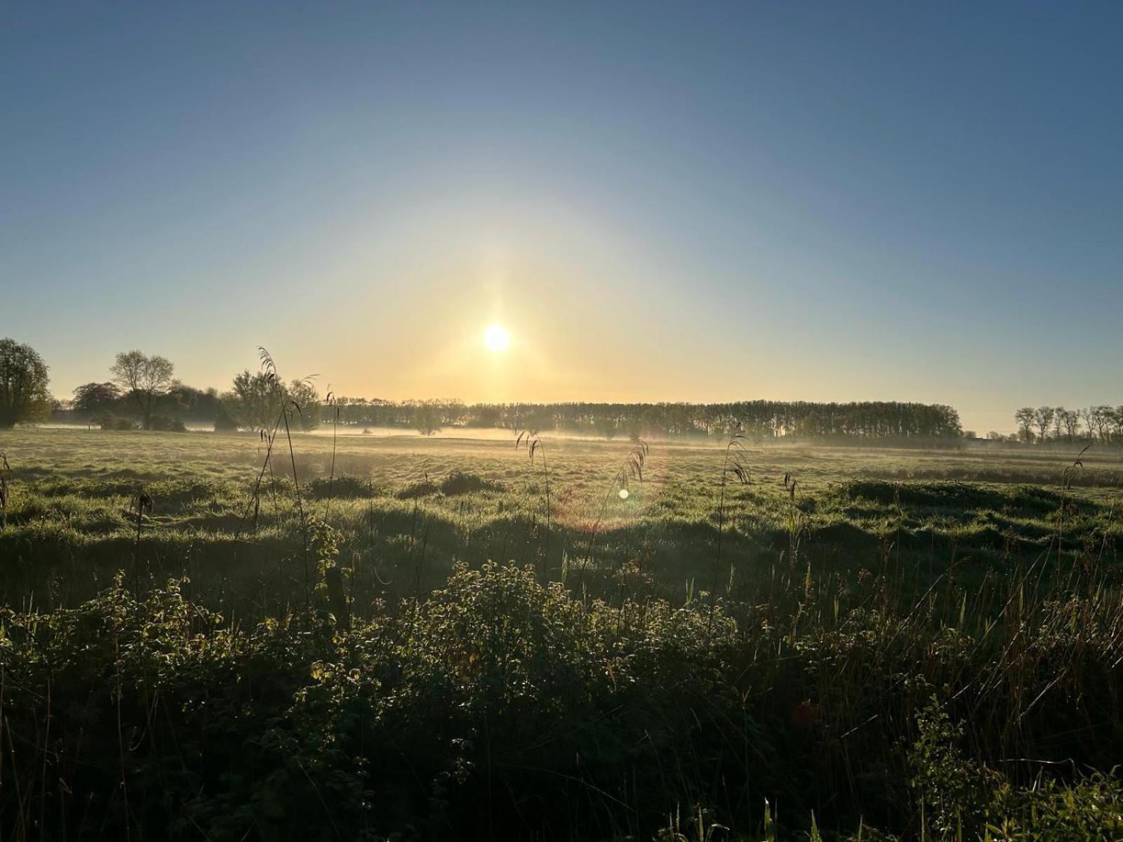 Het Oud Gemeentehuis-De Levensboom Hotel Damme Kültér fotó